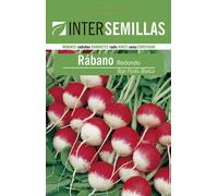 Semi Di Ravanello Rotondo Rosso Punta B Busta Sigillato Semi Orto Verdura