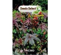 Semi di Ricino da Giardino, Seeds Select, Bustina per Coltivazione