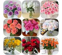 Semi di rose, rare regali per gli amanti del giardino come per gli ospiti da balcone da appartamento decorazione del soggiorno 55pcs