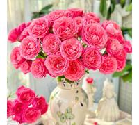 Semi di rose resistenti-Semi di rose-perenni resistenti e perenni per esterni da giardino decorative per luoghi soleggiati da giardino 450pcs