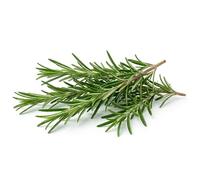 Semi di Rosmarino 6g | Sementi di Rosmarino Aromatico | Pianta Aromatica per Orto, Vaso e Balcone | Semi da Orto Alta Germinazione | Ideali per Giardinaggio Domestico e Cucina Mediterranea