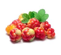 Semi di rovo camemoro-Rubus chamaemorus,giardino interno perenni resistenti alla tappezzatura del terreno,in vaso semi biologici 30pcs