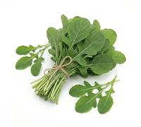 Semi di Rucola Coltivata 6g | Alta Germinazione | Semi da Orto per Vaso, Balcone e Giardino | Insalata dal Sapore Intenso e Crescita Rapida | Raccolto Continuo | Made in Italy