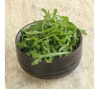 semi di rucola resistente - per il giardino aiuole rialzate per balcone biologici 800pcs