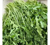 semi di rucola resistente - vecchie varietà coltivazione giardino decorazione balcone 200pcs