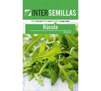 Semi Di Rucola Selvatica Aromatica Su Sigillato
