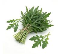 Semi di Rucola Selvatica da 6g | Rucola da Coltivare per Orto, Vaso e Balcone | Crescita Rapida, Alta Germinazione | Semi Ortaggi per Orto Domestico