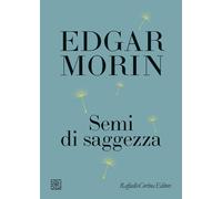 SEMI DI SAGGEZZA - MORIN EDGAR - RAFFAELLO CORTINA EDITORE