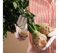 semi di sedano rapa, di da giardino roccioso da giardino, resistenti, longeve in vaso vecchie varietà appartamento esotiche orto biologico 400pcs