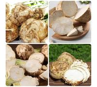 Semi di sedano, semi di esotiche biologici invernali balcone resistenti 500pcs