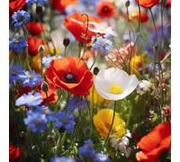 semi di selvatici Aiuole rialzate per il giardino decorative tappezzanti in vaso rialzata in vaso balcone con interna rara 600pcs