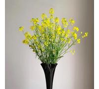 semi di senape gialla, resistenti in vaso Decorazione balcone giardino 420pcs