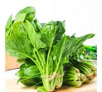 Semi di spinaci biologici, da balcone resistenti Spinacia oleracea, semi di vecchie varietà da giardino resistenti rare 100pcs