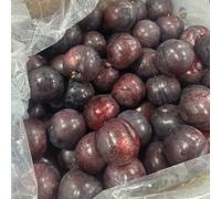 semi di susino, decorazione da balcone con esotiche resistenti comprare di susine per il giardino perenni 12pcs