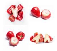 Semi di Syzygium samarangense - semi di da frutto frutteto da balcone semi di per il giardino da balcone da frutto nani 80pcs