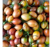 semi di tamarillo, pomodoro, Aiuole rialzate biologiche per l'orto da giardino in serra interna serra antiche varietà interno 80pcs