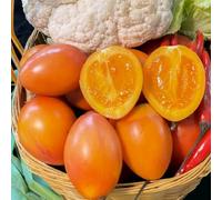 semi di tamarillo, pomodoro, interno decorazioni giardino per esterni Aiuole rialzate biologiche per l'orto rampicanti 10pcs