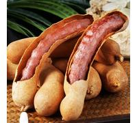 Semi di tamarindo - semi di vecchie varietà da balcone regali per gli amanti del giardino da nani resistenti giardino roccioso fresca 10pcs
