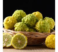 Semi di tiglio, Citrus hystrix, tiglio, Gli da nani sono resistenti balcone dei semi di per il giardino 200pcs