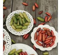 semi di tiglio da dito, decorative esotici esterno 100pcs