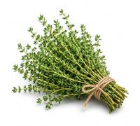 Semi di Timo da Seminare | Semi di Thymus Vulgaris per Orto, Vaso e Giardino | Pianta Aromatica Perenne per Balcone e Coltivazione Domestica | Ideale per Orto Aromatico ed Erbe Aromatiche