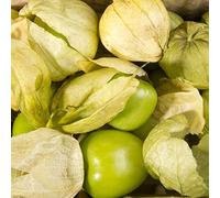 Semi di Tomatillo - Physalis ixocarpa