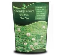 Semi di trifoglio olandese bianco