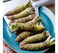 Semi di wasabi - antiche varietà di esotico aromatiche da giardino resistenti per giardini rocciosi giardino sul balcone aromatiche da cucina semi 500pcs