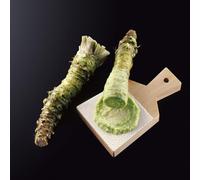 Semi di wasabi balcone con serra interna di rara decorazione giardino sul balcone in vaso d'appartamento esotiche orto biologico da giardino, 550pcs