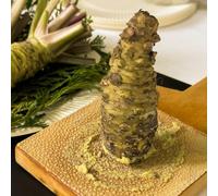 semi di wasabi decorazioni da giardino per esterni Aiule rialzate per il giardino da interno sul balcone balcone serra interna resistenti in vaso rampicanti 550pcs