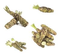 Semi di Wasabi, regali sostenibili semi di da cucina da giardino per aiuole rialzate regali per gli amanti del giardino balcone 400pcs