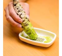 Semi di wasabi - resistenti resistenti per giardini rocciosi giardino raro sostenibili semi di aromatiche aromatiche da cucina esotico 500pcs