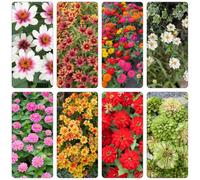 semi di zinnia - Zinnia elegans, biologici per esterno giardino recisi balcone roccioso arredamento del soggiorno 450pcs