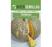 Semi Di Zucca Buon Gusto IN Busta Originale Certificato Vegetale