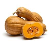 Semi di Zucca Butternut Rugosa 6g | Zucca Butternut da Coltivare per Orto, Giardino e Serra | Alta Germinazione, Raccolto Abbondante | Semi Ortaggi per Orto Domestico
