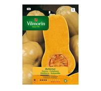 Semi Di Zucca Butternut S-1 780, Busta 7 Gr