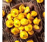 semi di zucca decorativi per ufficio, esotici, gustosi per interni, 300 pezzi per inverno