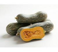 Semi di Zucca Gialla di Napoli 6g | Zucca da Coltivare per Orto, Giardino e Serra | Alta Germinazione, Raccolto Abbondante | Semi Ortaggi per Orto Domestico