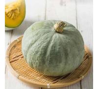 semi di zucca le perenne sono perenne resistenti di giardino resistenti, piccoli semi ortacoli insalata ortacoli 5pcs