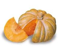 SEMI DI ZUCCA-MOSCATA DI PROVENZA