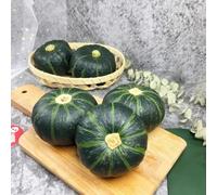 Semi di zucca, zucca butternut orto biologico di vecchie varietà da giardino roccioso rampicanti in vaso decorazioni da giardino per esterni 120pcs