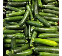 Semi di zucchine, Cucurbita pepo, vecchi semi di vecchie varietà di giardino 300pcs