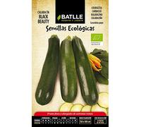Semi ecologici orticole - Zucca Bellezza nera - ECO - Batlle