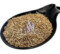 Semi essiccati di cumino 20 g (0,70 once) - 4,9 kg (10,80 libbre) Cuminum Cym...
