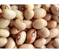 SEMI FAGIOLI 5 VARIETA' - RUVIOTTO-AZUKI ROSSO (VIGNA ANGULARIS)-.LIMA-AQUILA ROSSO.OCCHIO NERO DEL PERU'