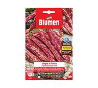 SEMI FAGIOLI BORLOTTI NANI LINGUA DI FUOCO BLUMEN