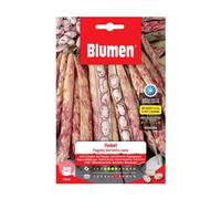 Semi Fagioli Borlotti Nani Nobel Verde
