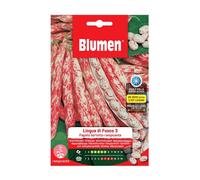 Semi Fagioli Borlotti Rampicanti Lingua Di Fuoco 3 Righe