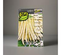 SEMI FAGIOLO NANO CANNELLINO 5KG