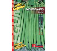 Semi Fagiolo nano Sunray 100 g